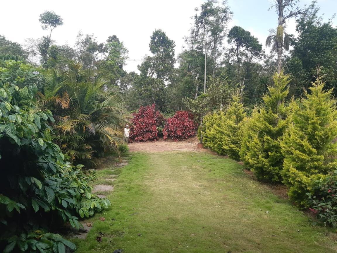 Athena Homestay Somvārpet Extérieur photo