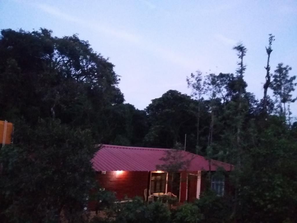 Athena Homestay Somvārpet Extérieur photo