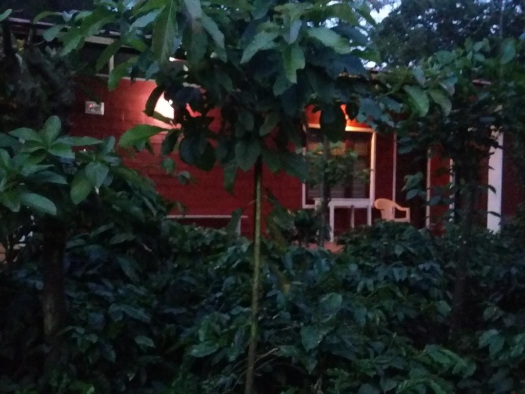 Athena Homestay Somvārpet Extérieur photo