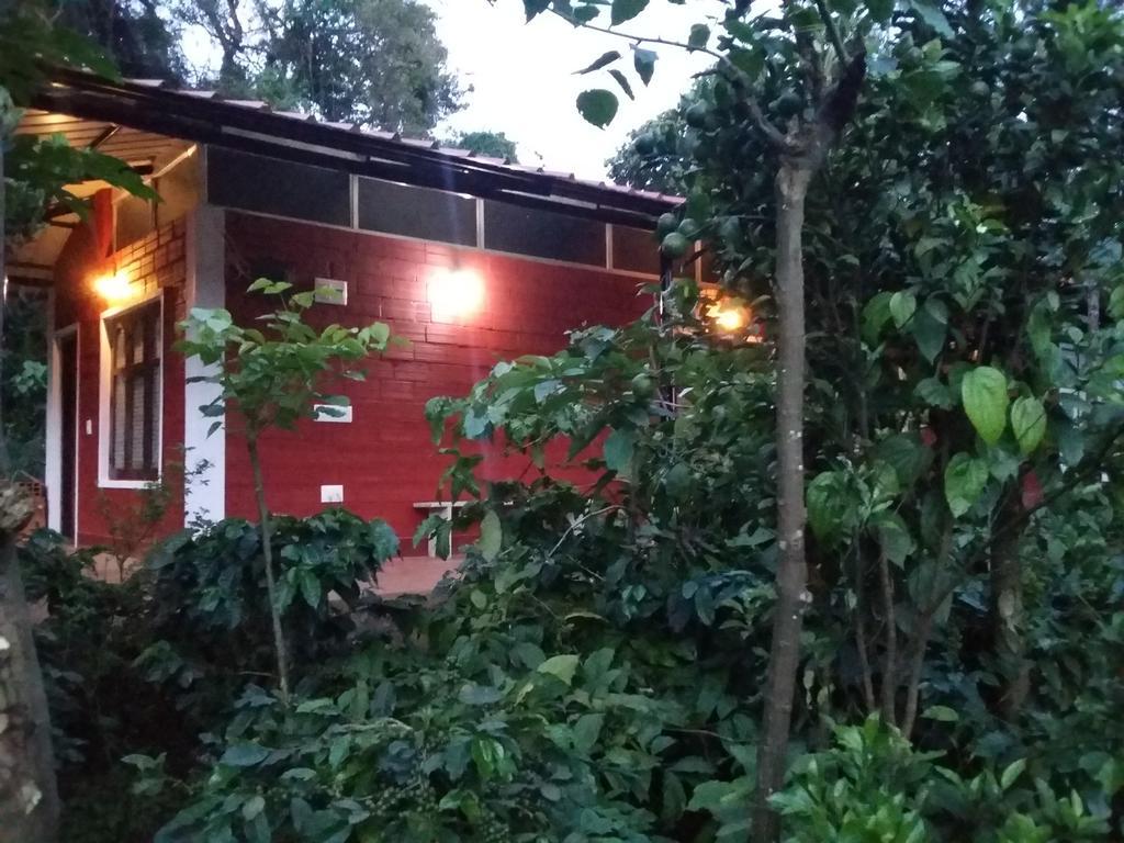Athena Homestay Somvārpet Extérieur photo