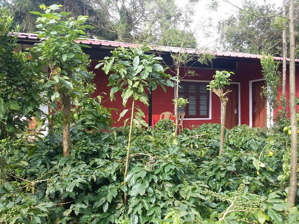 Athena Homestay Somvārpet Extérieur photo